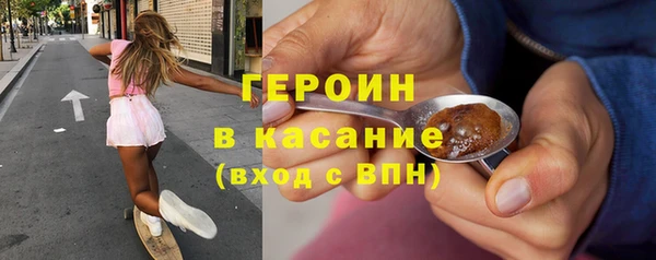 индика Арсеньев