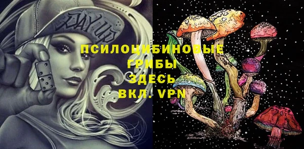 индика Арсеньев