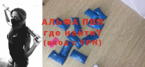индика Арсеньев