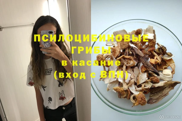 индика Арсеньев