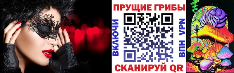 цены   kraken tor  Галлюциногенные грибы прущие грибы  Байкальск 